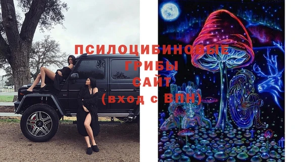 трава Лабытнанги