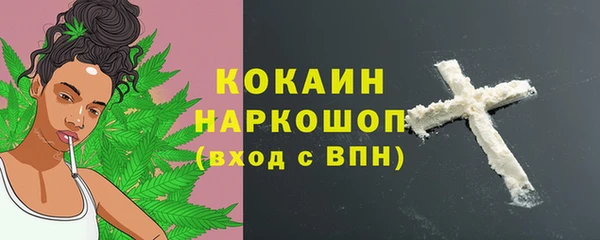 шишки Ладушкин