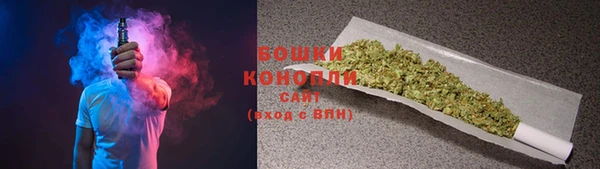шишки Ладушкин