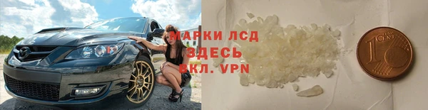 трава Лабытнанги