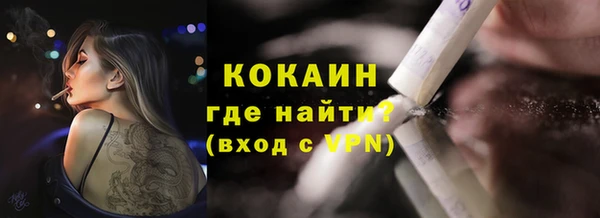 шишки Ладушкин