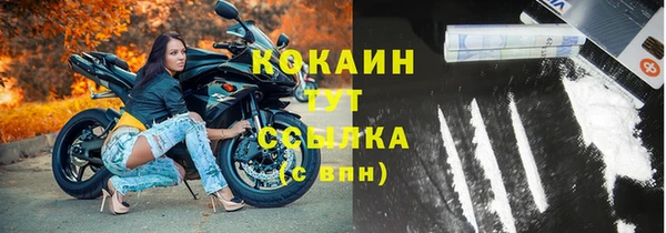 трава Лабытнанги